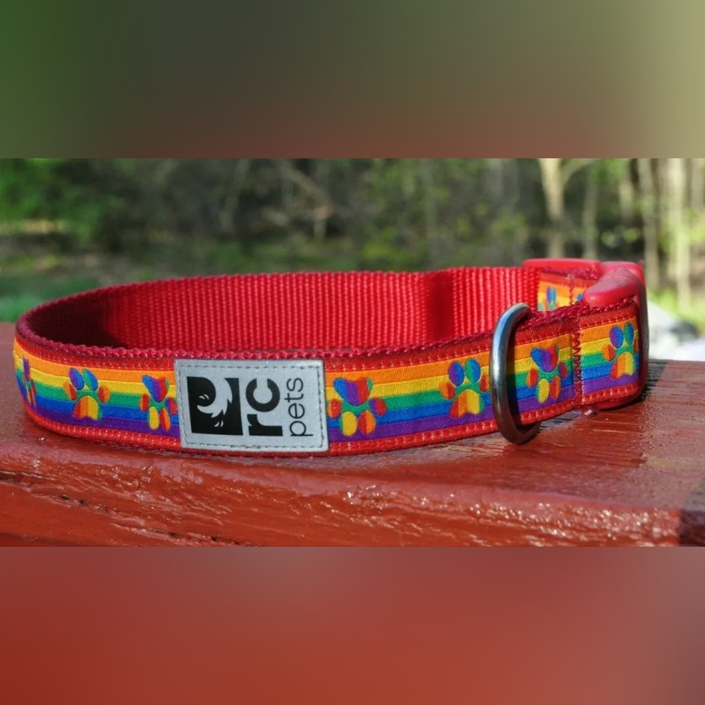 RC Pets 1" Wide Adjustable Dog Clip Collar Rainbow Paws (Medium) 12 - 20 inches